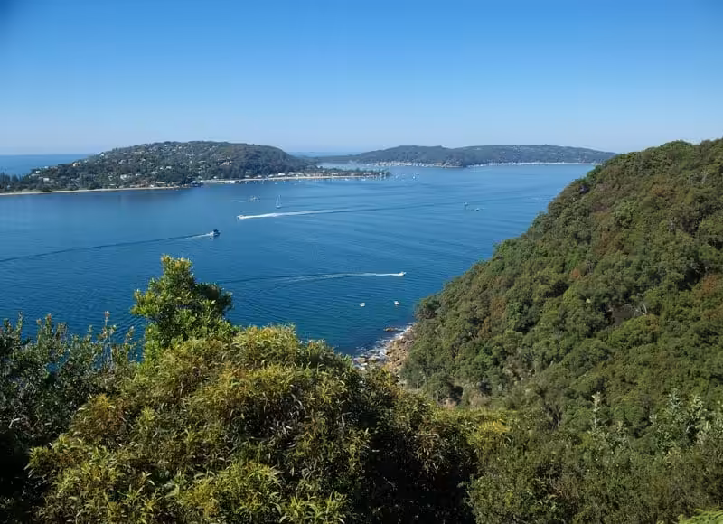 Sydney Cabling | Antenna Installation Frenchs Forest Sydney Cabling | Antenna Installation Frenchs Forest